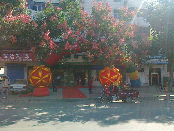 舞钢市彦春山中宝舞钢特产店开业